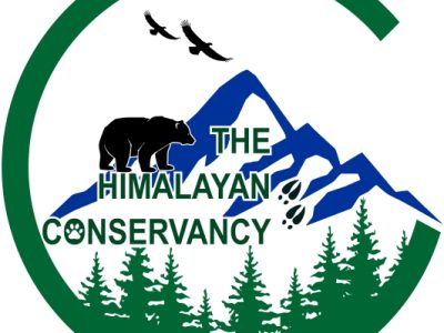 english logo